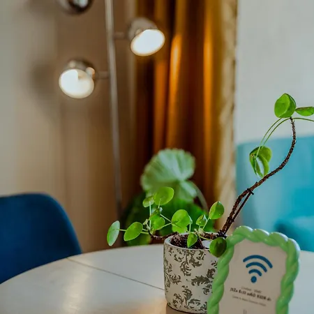 Chez Amélie T3 Lumineux * Montauban